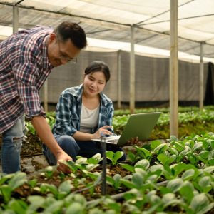 Pack de Sensores Inteligentes para Monitorización de Salud del Suelo