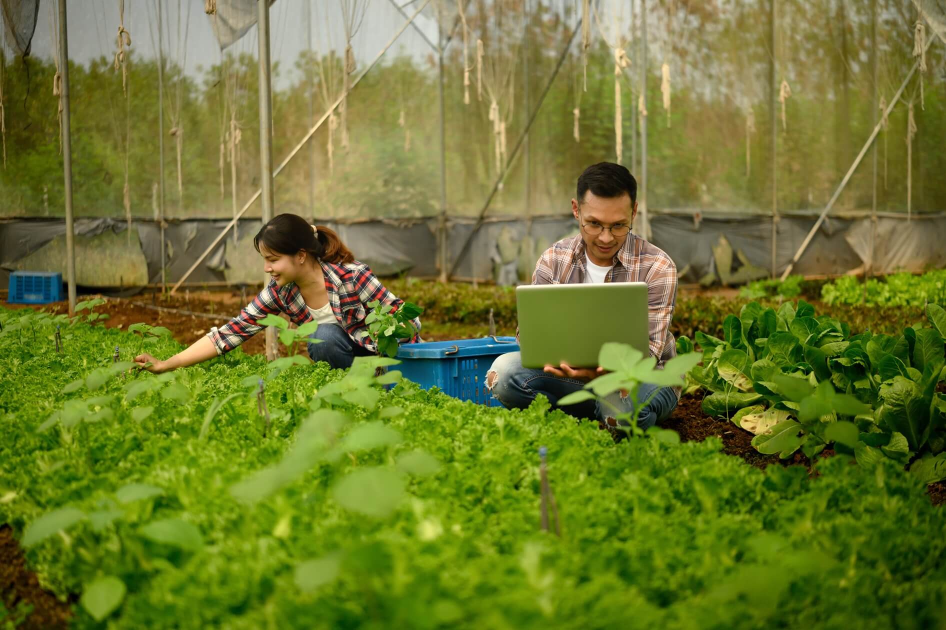 Contacto servicios agrícolas Murcia