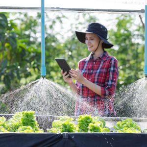 Sistema de Riego Ecológico Eficiente con Optimización Hídrica del 40%